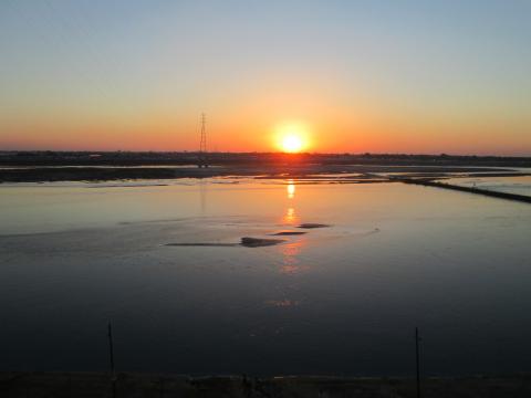 Ganges:an ever charming landscape 