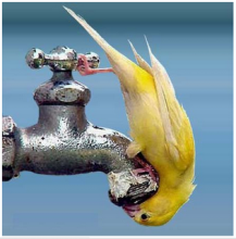 Save water to avoid water crisis 